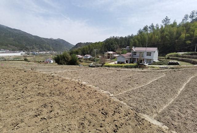 2025年4月5日,安徽省六安市,霍山县上土市镇古佛堂村干涸严重。视觉中国 资料图